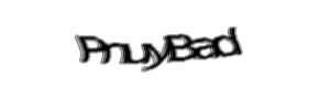 Security check image, please type the characters shown